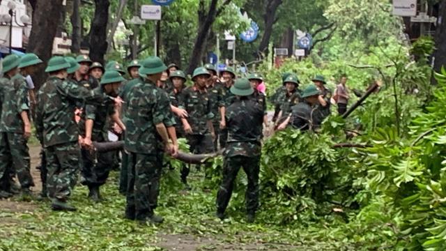 Hà Nội tập trung lực lượng, xử lý cây xanh