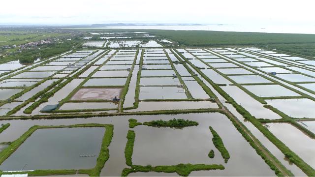 Hải Phòng: Hết hạn hợp tác dân không trả đầm,